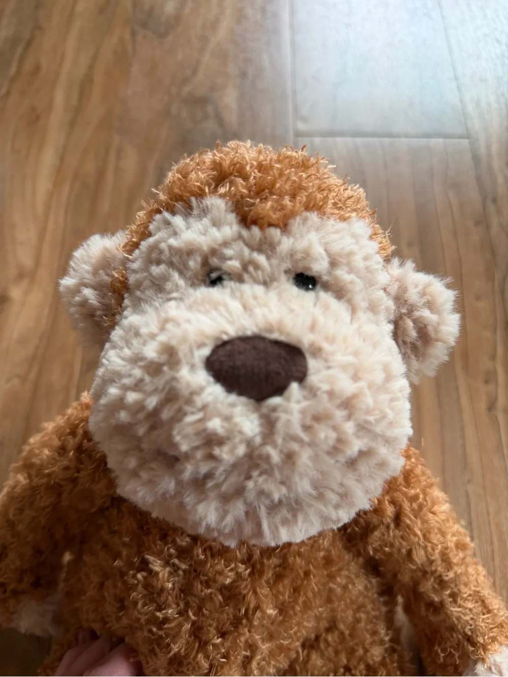 Jellycat believe it